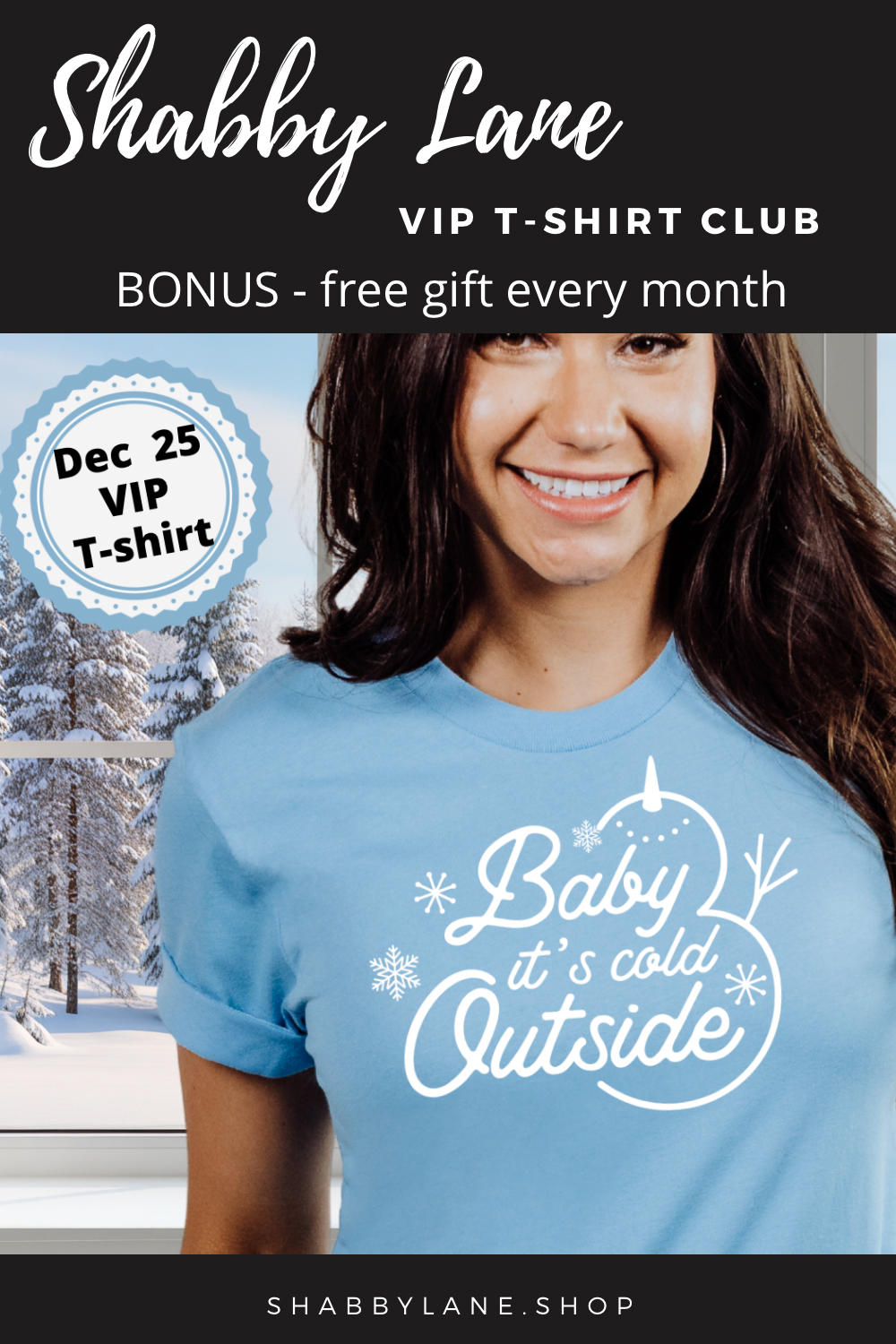 6 month gift subscription- T-Shirt of the Month Club - AND FREE GIFT
