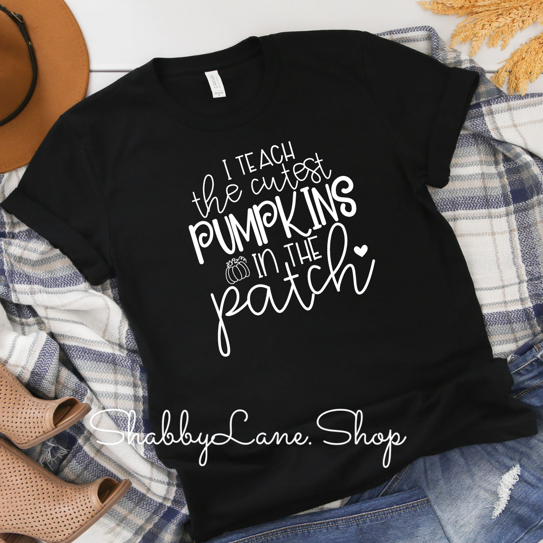 I teach the cutest pumpkins - Black tee Shabby Lane