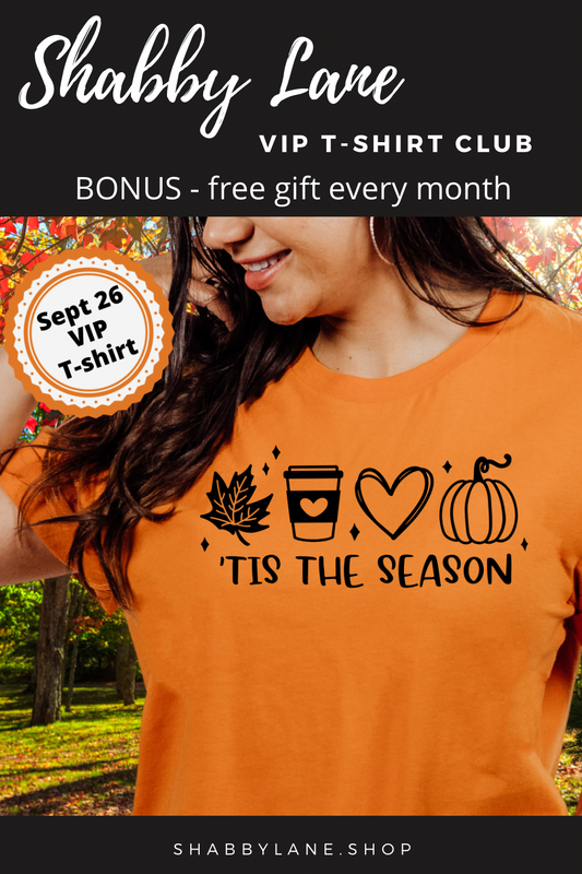 12 month gift subscription- T-Shirt of the Month Club - AND FREE GIFT Shabby Lane
