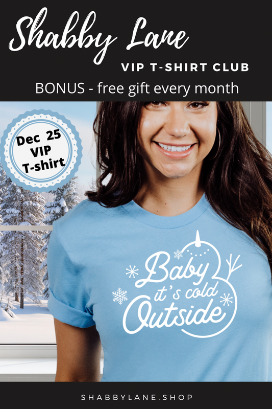 12 month gift  subscription- T-Shirt of the Month Club - AND FREE GIFT
