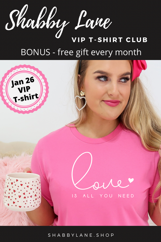3 month gift  subscription- T-Shirt of the Month Club - AND FREE GIFT