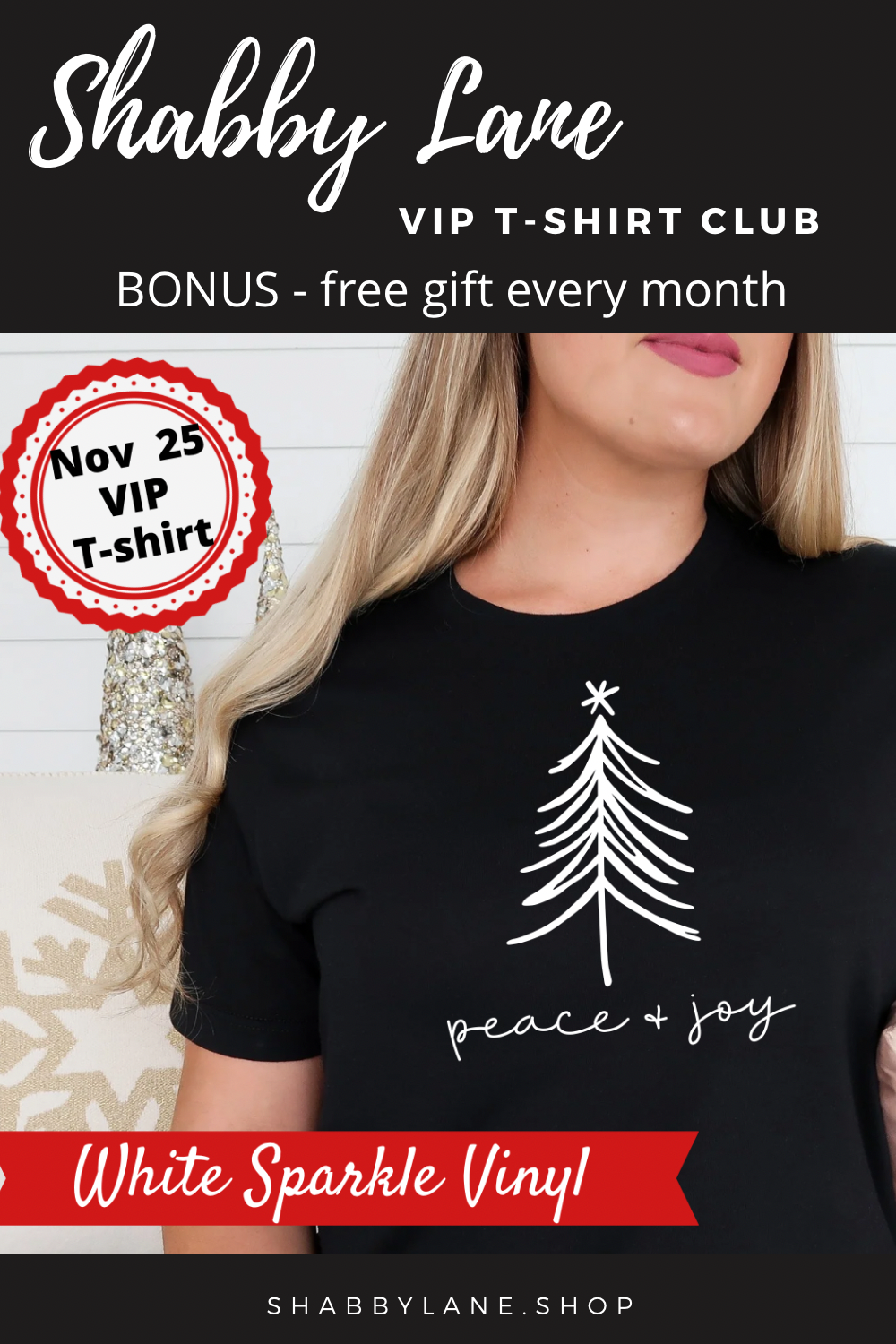 6 month gift  subscription- T-Shirt of the Month Club - AND FREE GIFT