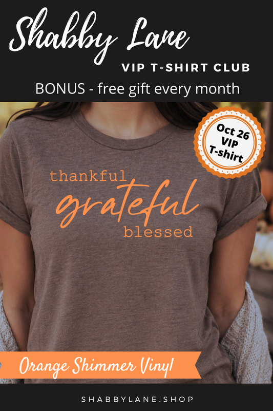 6 month gift subscription- T-Shirt of the Month Club - AND FREE GIFT Shabby Lane