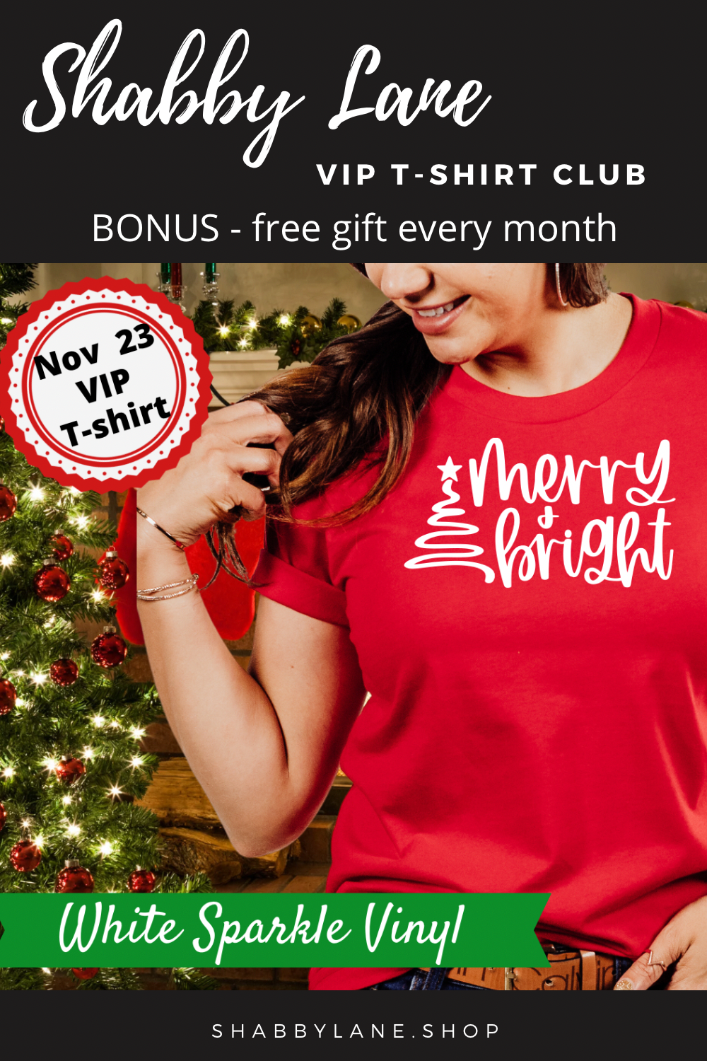 6 month gift  subscription- T-Shirt of the Month Club - AND FREE GIFT  Shabby Lane   