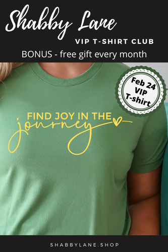 12 month gift  subscription- T-Shirt of the Month Club - AND FREE GIFT  Shabby Lane   