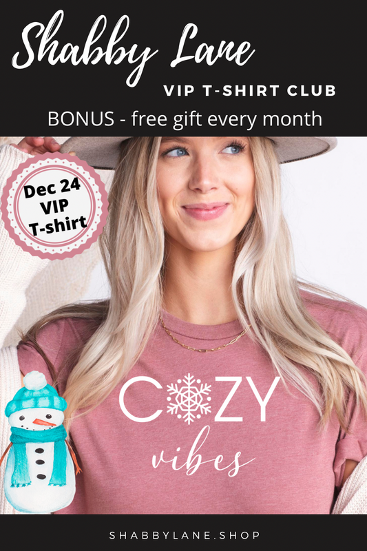 3 month gift subscription- T-Shirt of the Month Club - AND FREE GIFT Shabby Lane