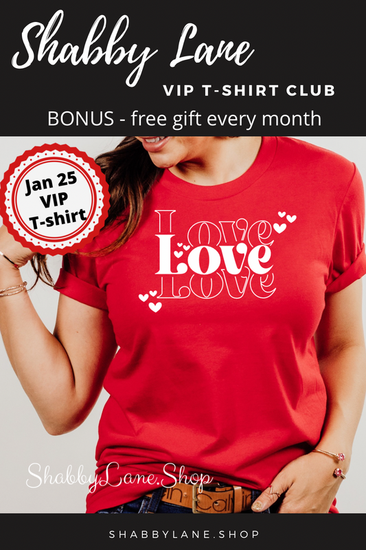 6 month gift subscription- T-Shirt of the Month Club - AND FREE GIFT Shabby Lane