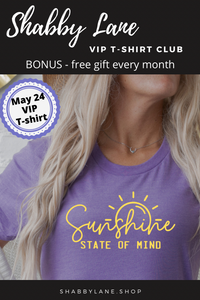 3 month gift  subscription- T-Shirt of the Month Club - AND FREE GIFT  Shabby Lane   