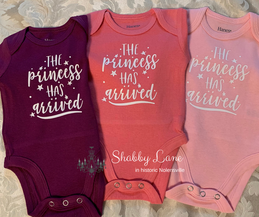 The princess has arrived onesie  Shabby Lane   